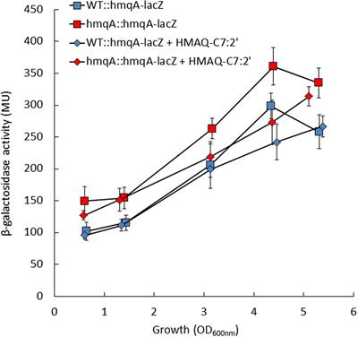 Interplay between 4-Hydroxy-3-Methyl-2-Alkylquinoline and N-Acyl-Homoserine Lactone Signaling in a Burkholderia cepacia Complex Clinical Strain